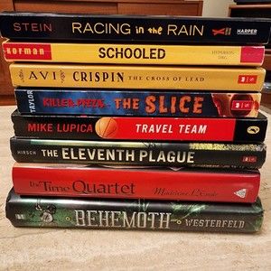 Middle School Boys & Girls Chapter Books Lot Of 8 Youth Fiction Grades 6-8